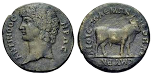 Antinous býk